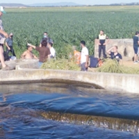 Aumentan la vigilancia en las infraestructuras de riego para evitar el baño