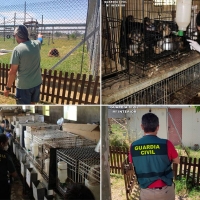 Investigan a dos personas por maltrato animal y detienen a otra por el robo de dos primates