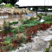 Inician las actividades para el mantenimiento del parque del Río, Rivillas y Calamón