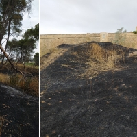 Cívica: &quot;El incendio en las laderas de la Alcazaba sí ha afectado al recinto amurallado de Badajoz&quot;