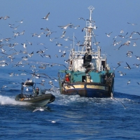 Vigilancia intensiva para evitar vertidos contaminantes en el mar