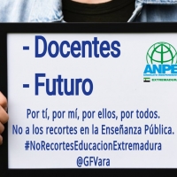 Campañas entre los docentes para frenar “la mutilación” de la enseñanza pública