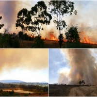 Luchan para extinguir un incendio en Portugal que amenaza a suelo extremeño