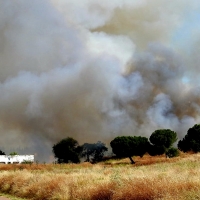 Los Bomberos se emplean a fondo en un incendio en la Margen Derecha (Badajoz)