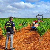 Identificados ocho trabajadores en una finca extremeña por contratación ilegal