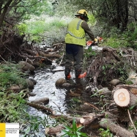 Confederación continúa con la recuperación de las zonas afectadas en el Valle del Ambroz