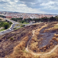 PSOE: “Es incompatible promocionar la Alcazaba y dejarse quemar sus laderas todos los años”