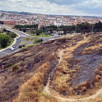 Amigos de Badajoz: “El dinero del no desbroce debe repercutir en la Alcazaba”