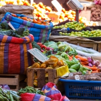 Salaya pone fecha a la vuelta del mercadillo cacereño