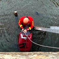 Los Bomberos de Badajoz sofocan varios incendios y rescatan a un animal del río Guadiana