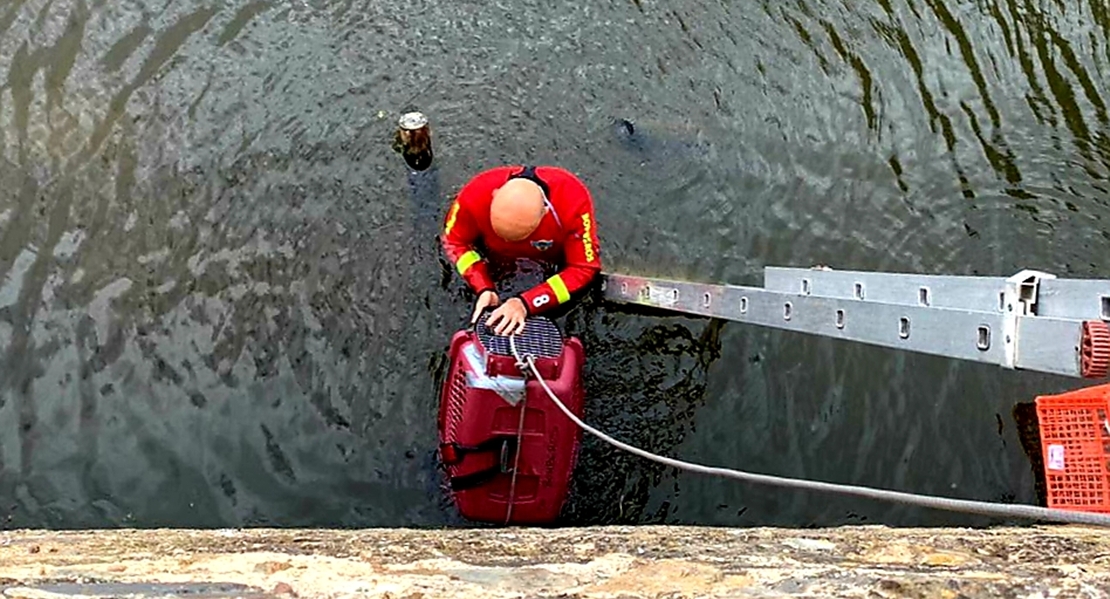 Los Bomberos de Badajoz sofocan varios incendios y rescatan a un animal del río Guadiana