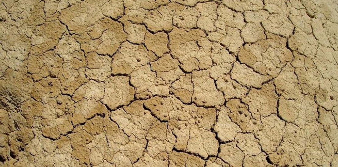 Ecologistas: “Es necesario reducir el regadío para luchar contra la desertificación y la sequía”