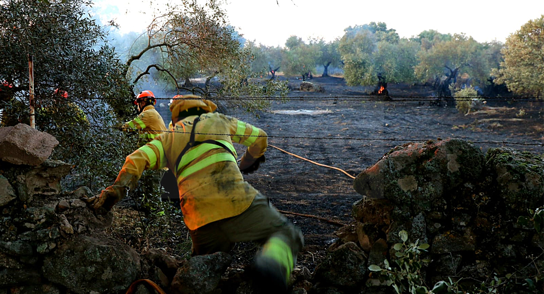 Imágenes y vídeo del incendio forestal cercano a Alburquerque (Badajoz)