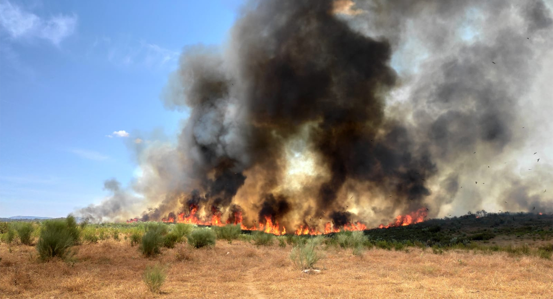 Bomberos Forestales de Extremadura extinguen un incendio que ha calcinado 111 hectáreas