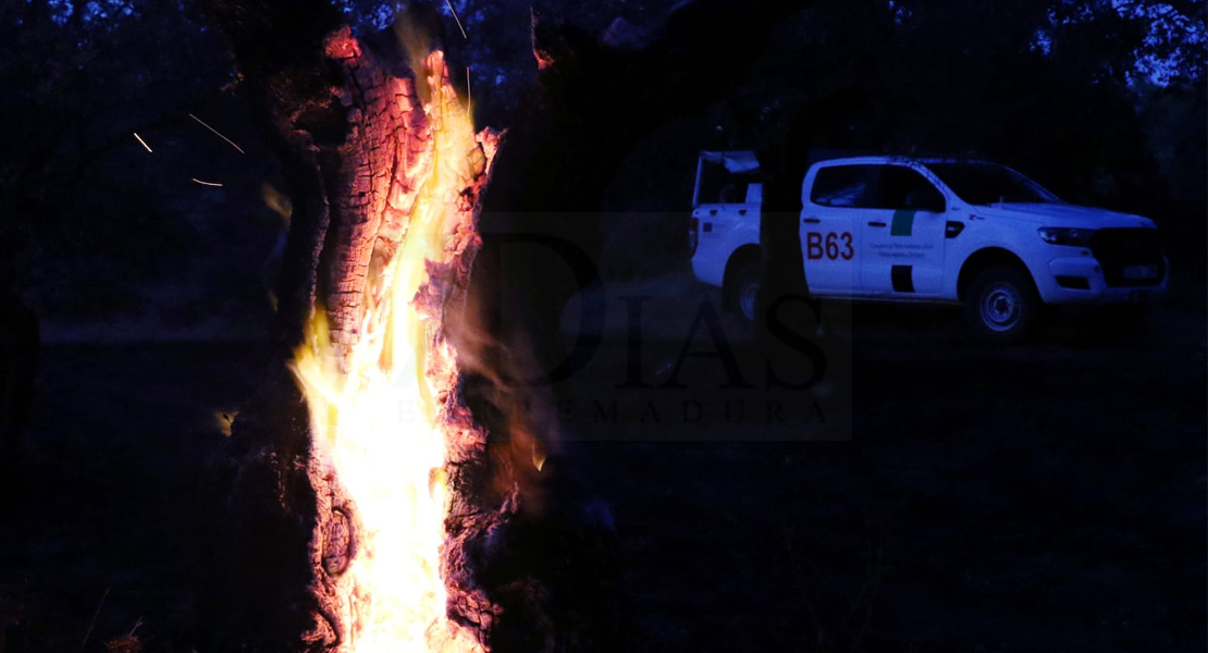 Imágenes y vídeo del incendio forestal cercano a Alburquerque (Badajoz)