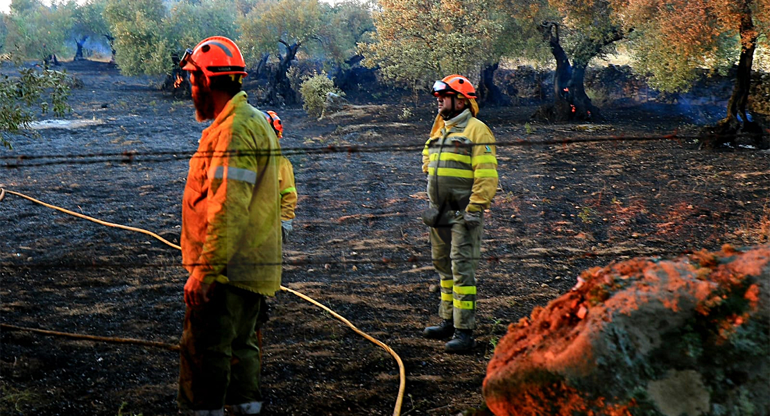 Imágenes y vídeo del incendio forestal cercano a Alburquerque (Badajoz)