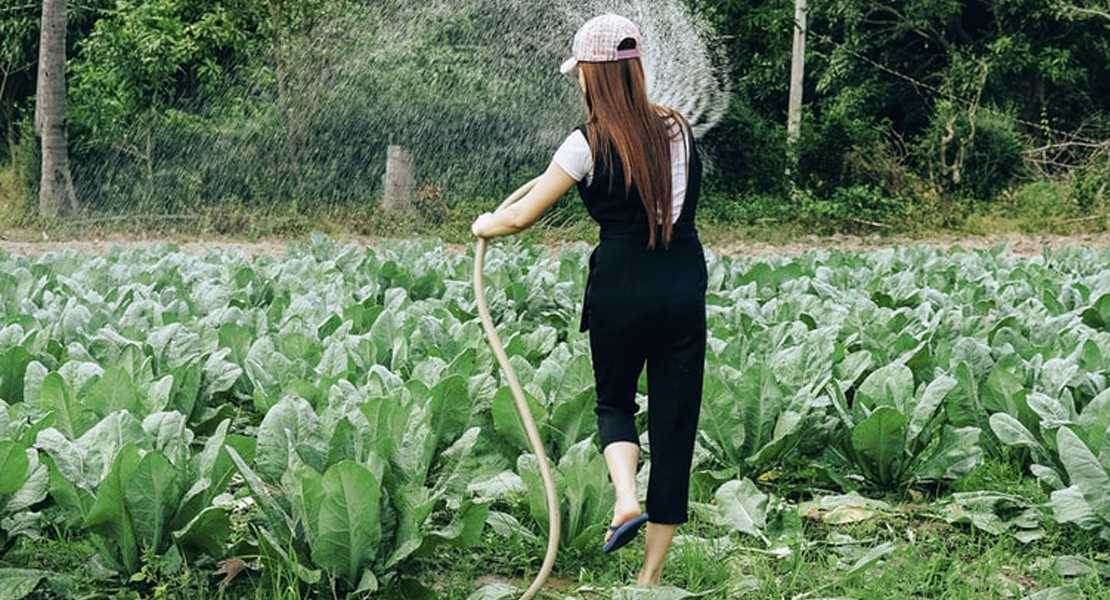 Una extremeña podrá liderar un negocio en el sector agroalimentario con este programa