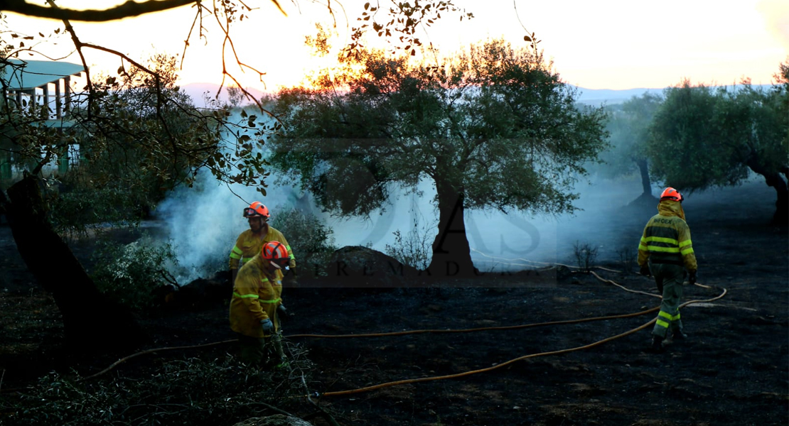 Imágenes y vídeo del incendio forestal cercano a Alburquerque (Badajoz)