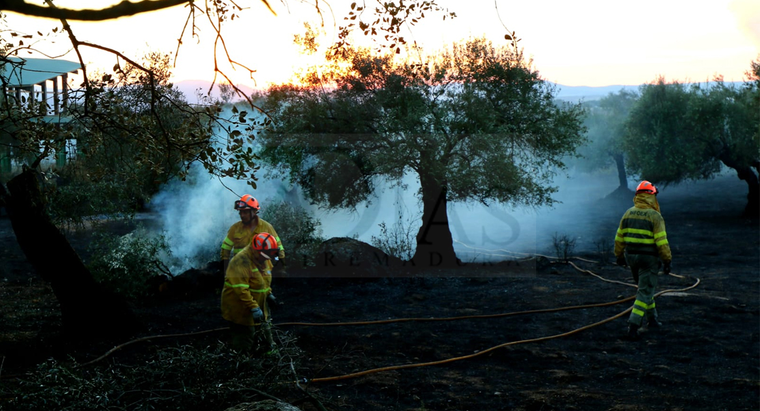 Los Bomberos consiguen extinguir un incendio forestal cercano a Alburquerque (Badajoz)