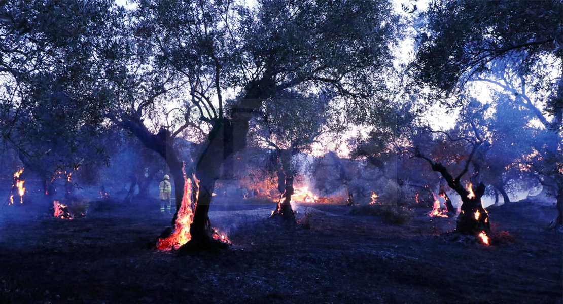 Imágenes y vídeo del incendio forestal cercano a Alburquerque (Badajoz)