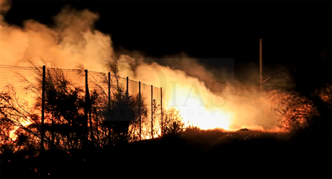 REPOR - Incendio declarado nivel 1 en Lobón (Badajoz)