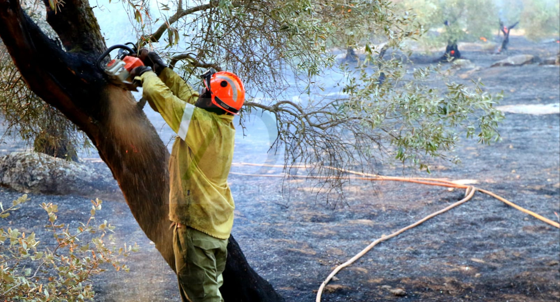 Imágenes y vídeo del incendio forestal cercano a Alburquerque (Badajoz)