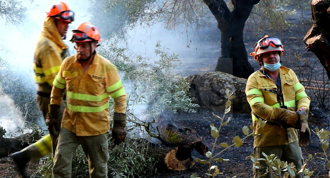 Imágenes y vídeo del incendio forestal cercano a Alburquerque (Badajoz)