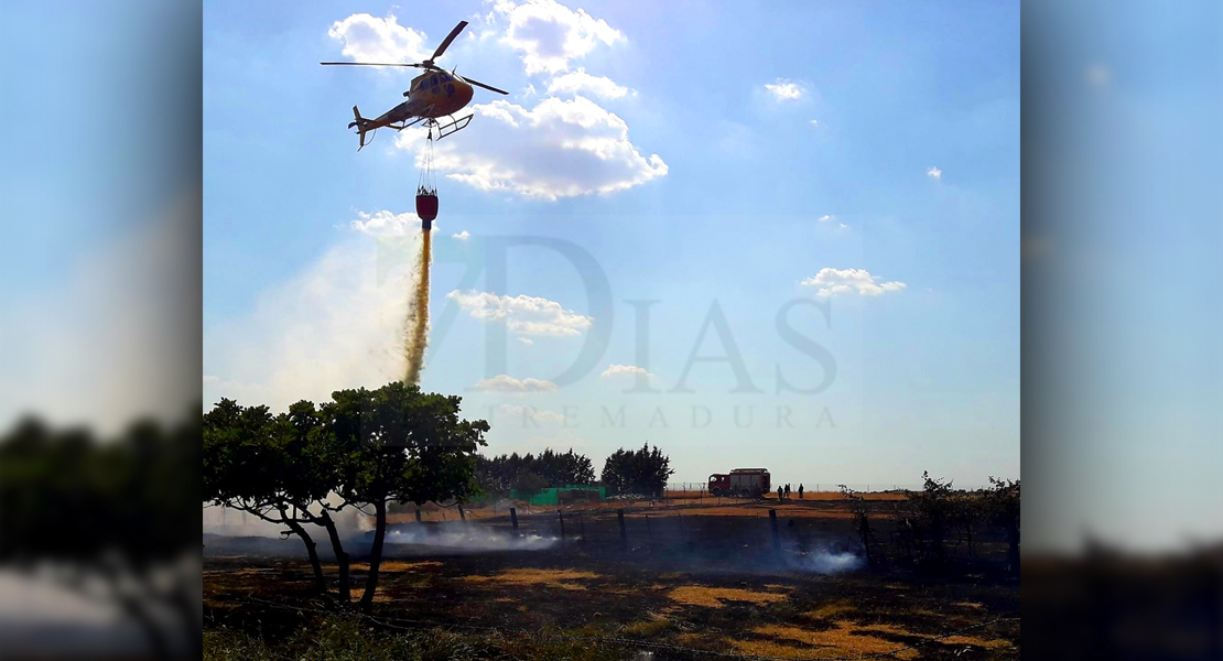 El Infoex ha intervenido esta semana 19 incendios que han quemado 60 hectáreas forestales