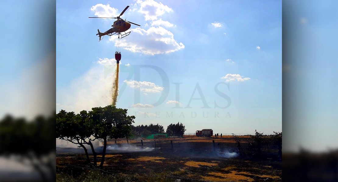 Incendio forestal cercano a Navalmoral de la Mata (Cáceres)