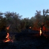 Imágenes y vídeo del incendio forestal cercano a Alburquerque (Badajoz)