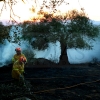 Imágenes y vídeo del incendio forestal cercano a Alburquerque (Badajoz)