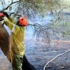 Imágenes y vídeo del incendio forestal cercano a Alburquerque (Badajoz)