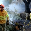 Imágenes y vídeo del incendio forestal cercano a Alburquerque (Badajoz)