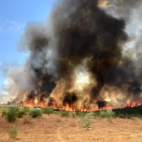 Bomberos Forestales de Extremadura extinguen un incendio que ha calcinado 111 hectáreas