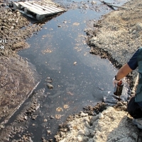 Investigadas 7 personas por un delito contra los recursos Naturales y el Medio Ambiente