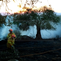 Los Bomberos consiguen extinguir un incendio forestal cercano a Alburquerque (Badajoz)