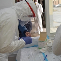 Científicos británicos describen seis tipos de Covid-19