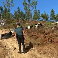 El vecino de Jola fue encontrado inconsciente en el interior de una pequeña poza