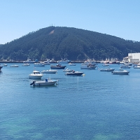 Continúa la lucha entre el Gobierno y la &#39;pesca accidental&#39;