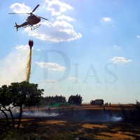 Incendio forestal cercano a Navalmoral de la Mata (Cáceres)