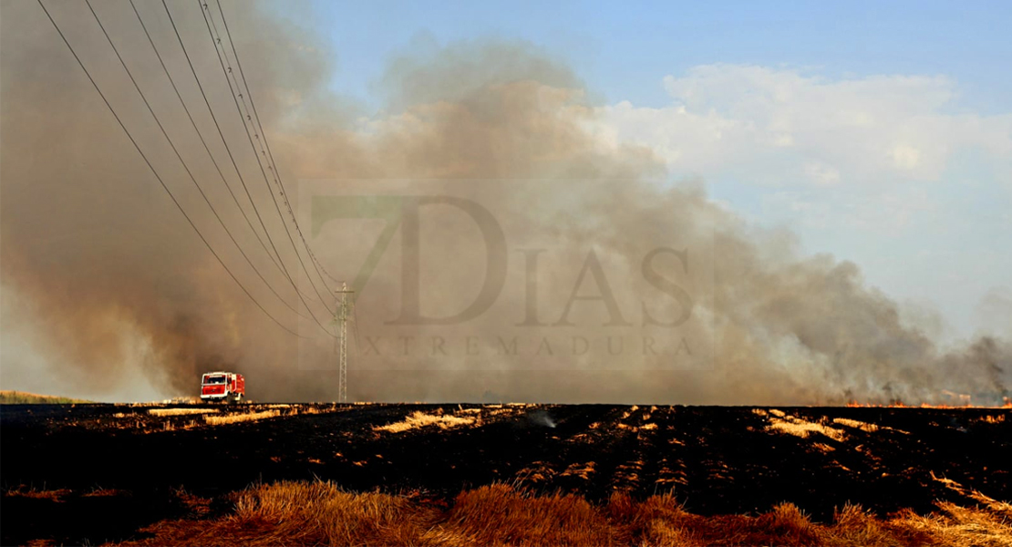 Los Bomberos actúan en un incendio forestal cercano a Badajoz