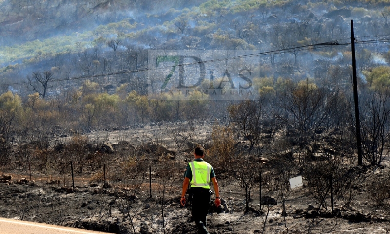 Bomberos Forestales intentan controlar un incendio en la Sierra Amador (Oliva de Mérida)