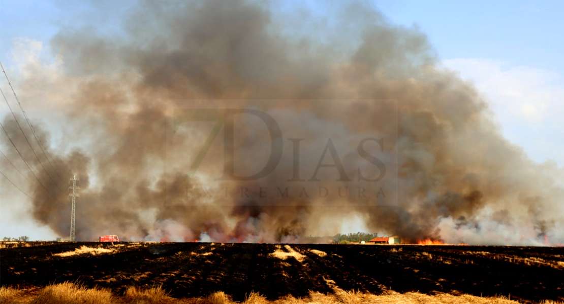 REPOR - Un incendio forestal cercano a Badajoz arrasa varias hectáreas