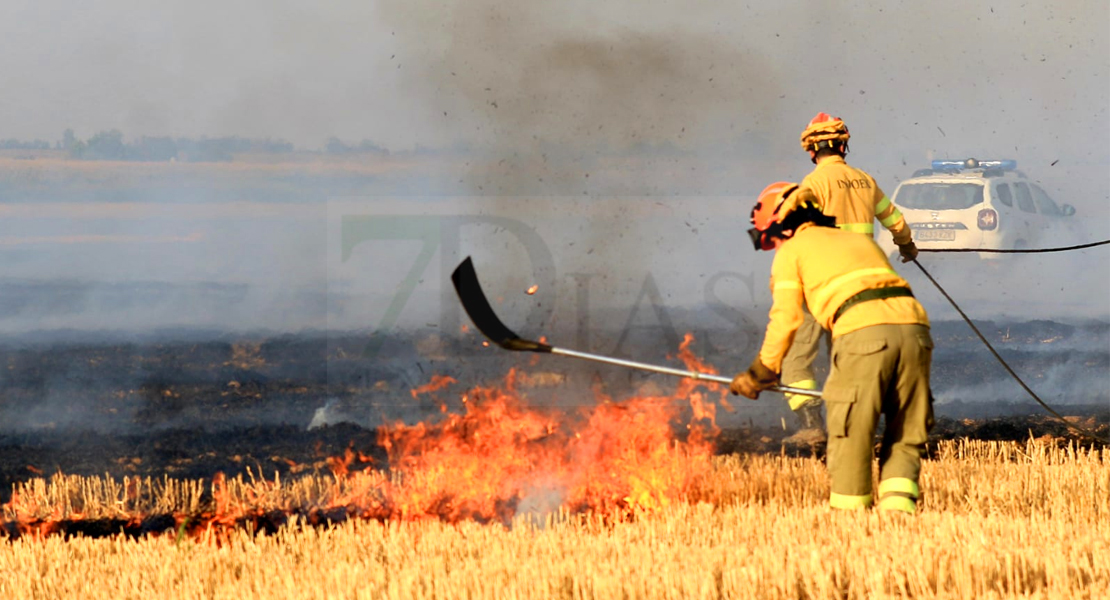 REPOR - Un incendio forestal cercano a Badajoz arrasa varias hectáreas