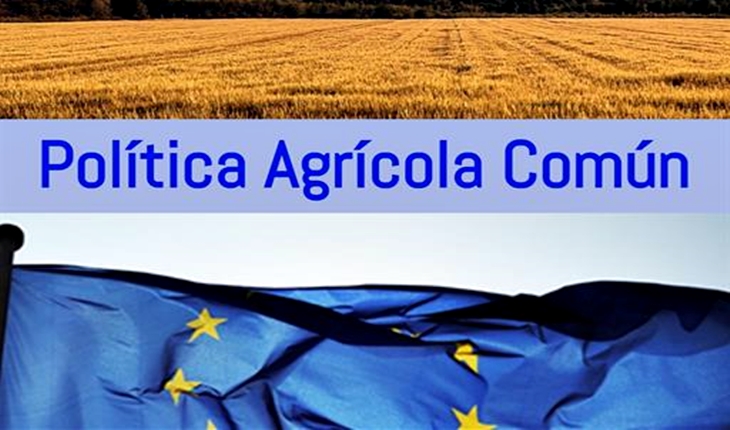 ESPAÑA - PAC: 679.000 agricultores y ganaderos recibirán 5.000 millones €
