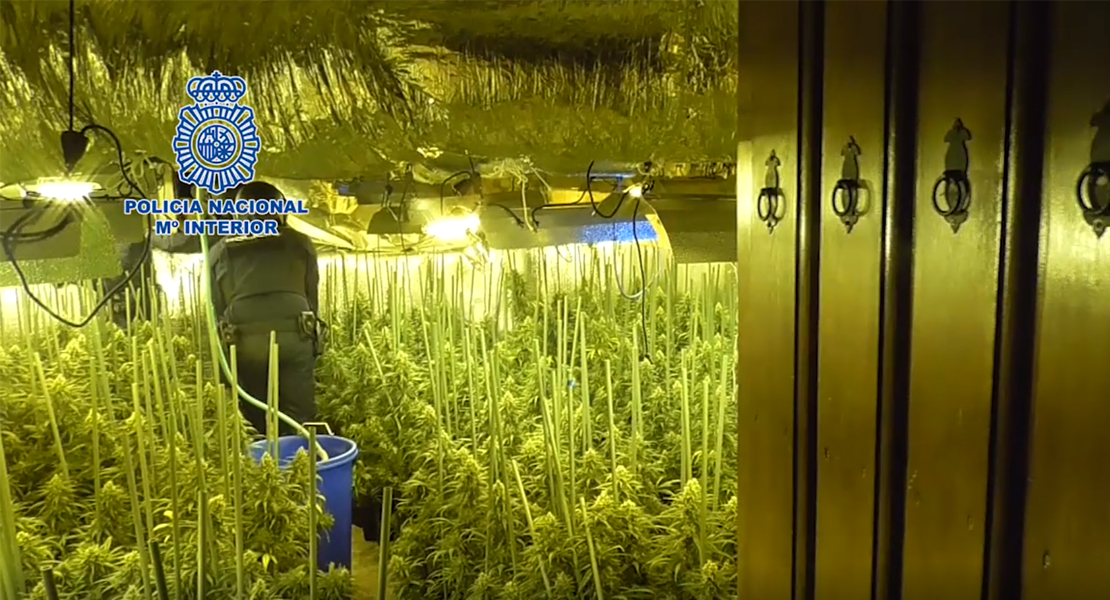 Plantaciones indoor en Madrid capital: Enganches a la red eléctrica ocultos bajo baldosas de la calle