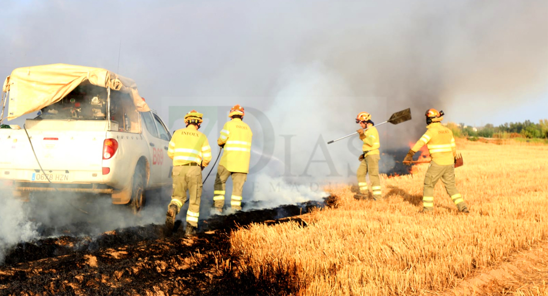 Julio acaba con 210 hectáreas quemadas en la última semana