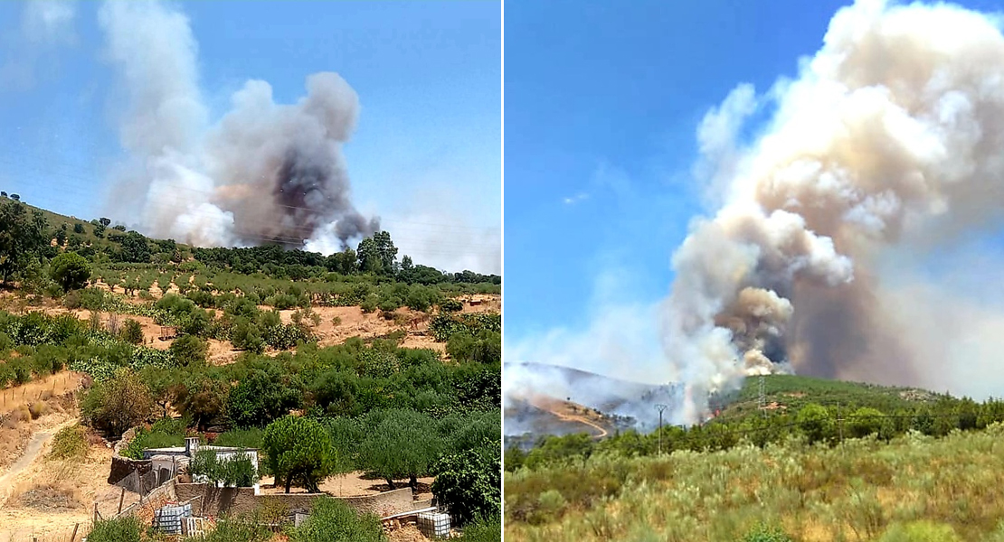 Bomberos Forestales luchan contra un incendio descontrolado en Cañaveral (Cáceres)