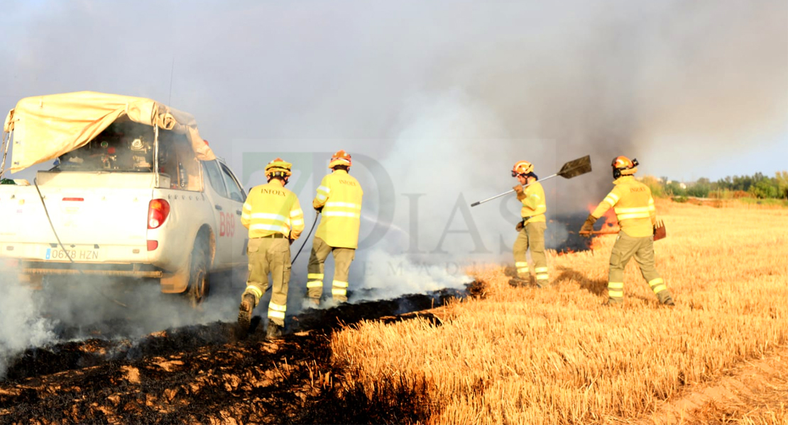 REPOR - Un incendio forestal cercano a Badajoz arrasa varias hectáreas