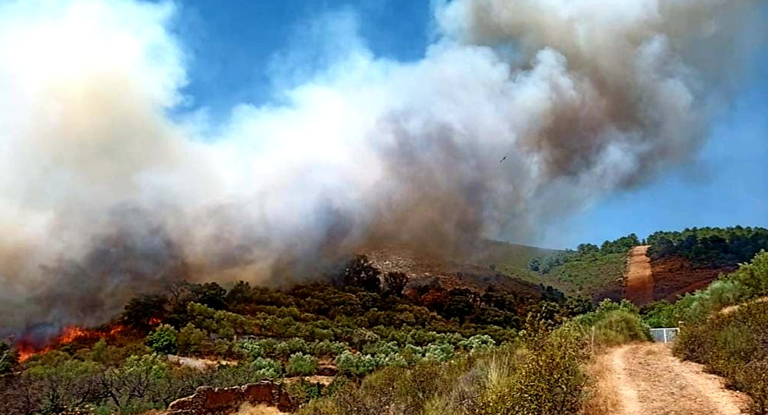 Bomberos Forestales luchan contra un incendio descontrolado en Cañaveral (Cáceres)